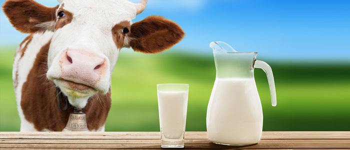 молочні продукти містять рослинні жири